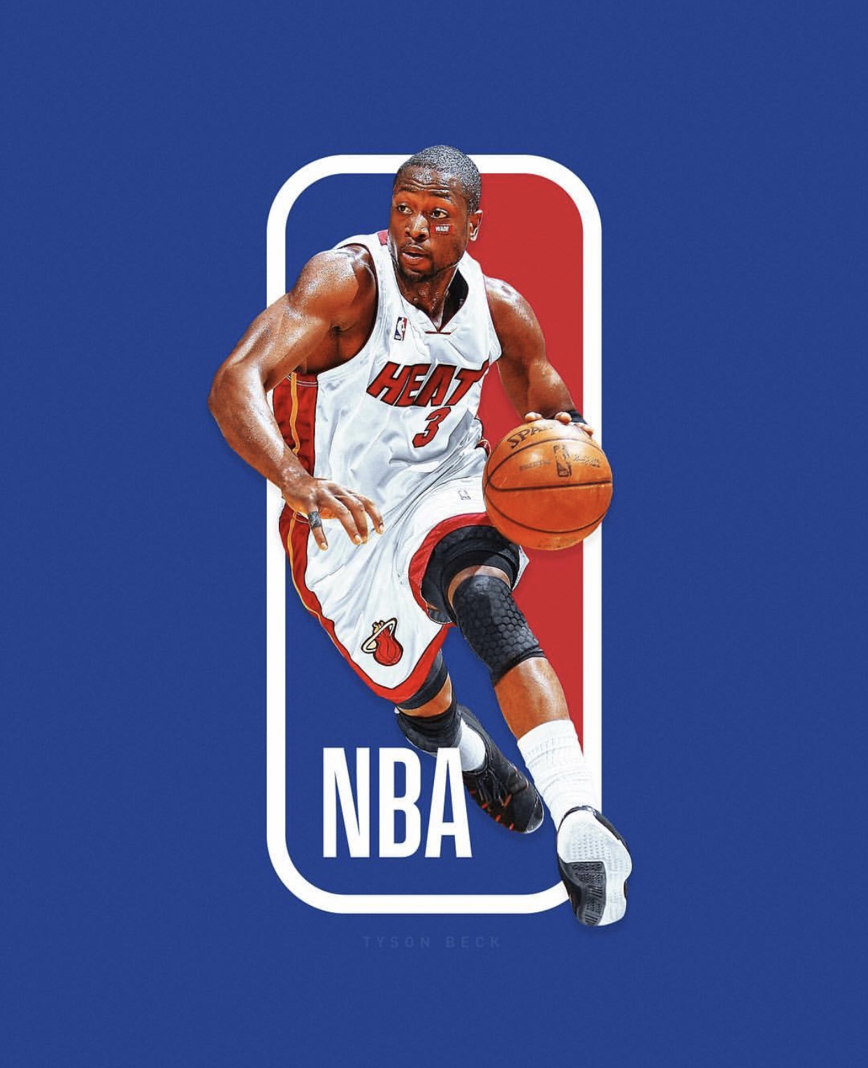 什维利的案 什维利的案